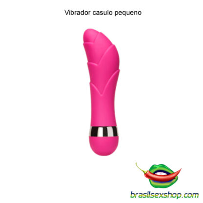 Vibrador casulo pequeno